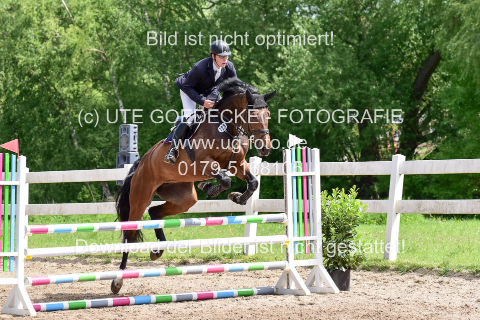 260520---Springpferde-A--_097.jpg
