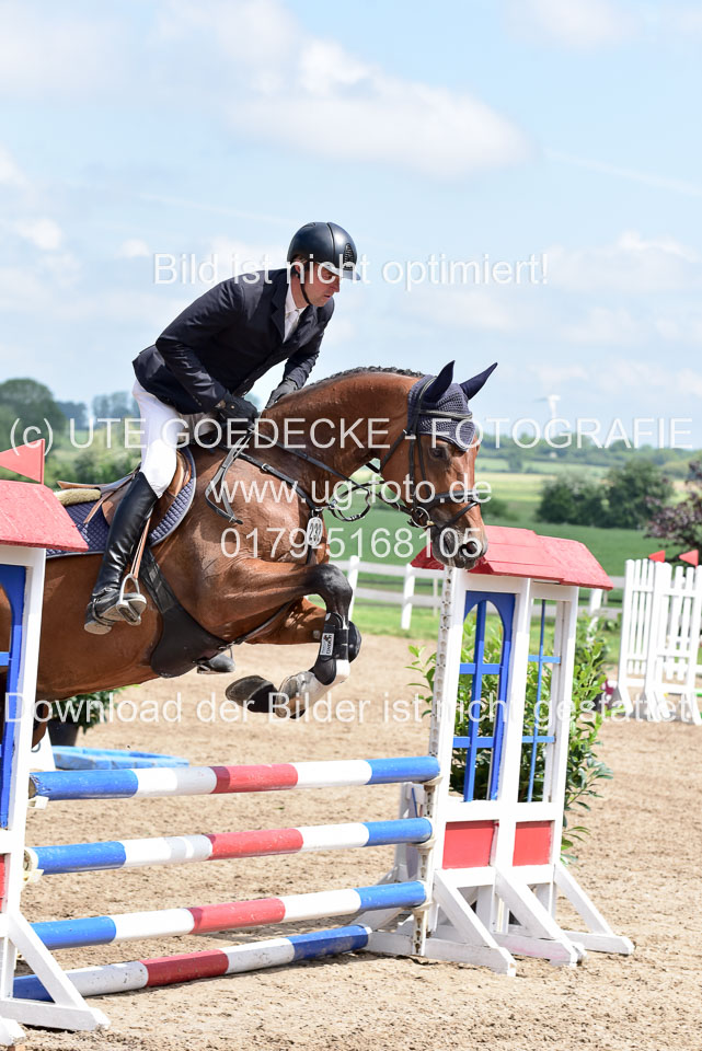 260520---Springpferde-A--_098.jpg