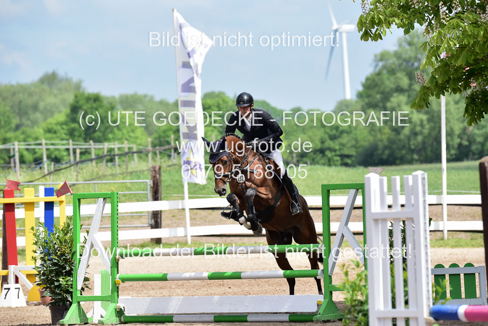260520---Springpferde-A--_099.jpg