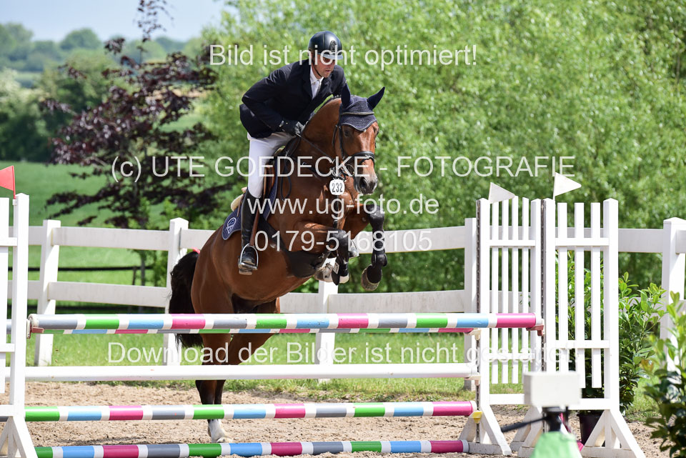 260520---Springpferde-A--_100.jpg