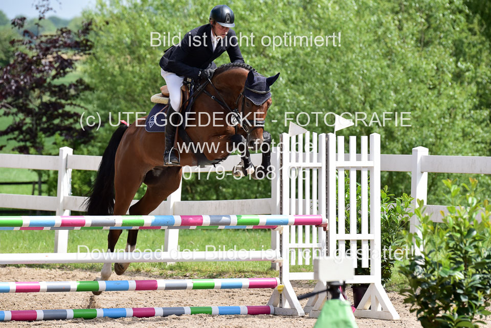 260520---Springpferde-A--_101.jpg