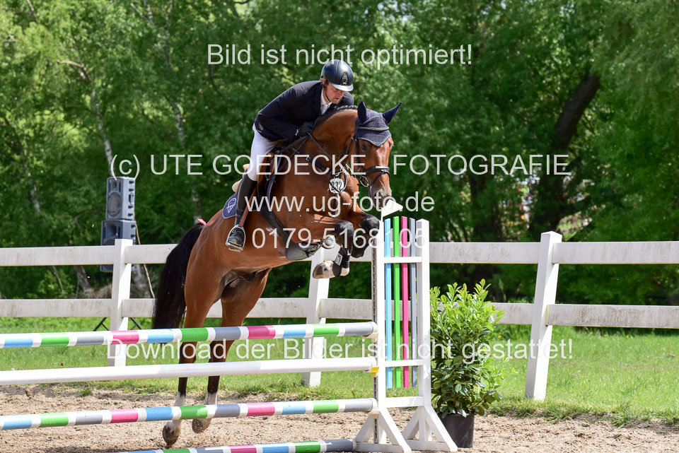 260520---Springpferde-A--_102.jpg