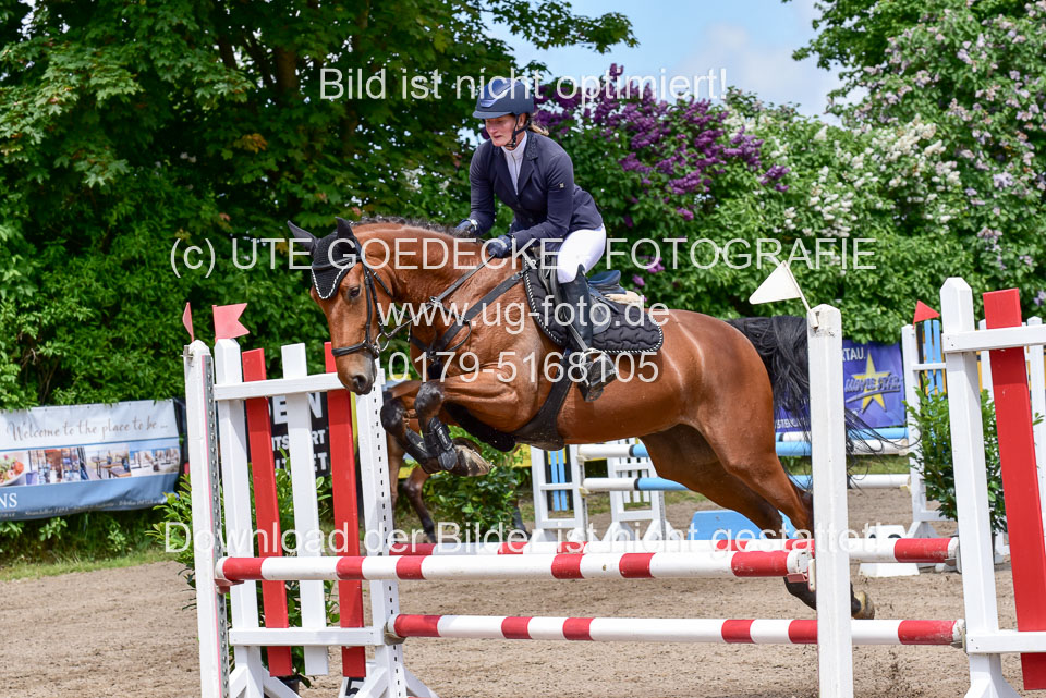 260520---Springpferde-A--_103.jpg