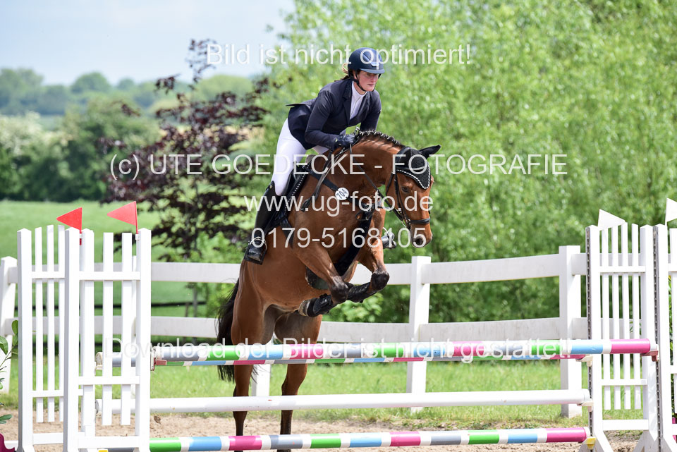 260520---Springpferde-A--_104.jpg