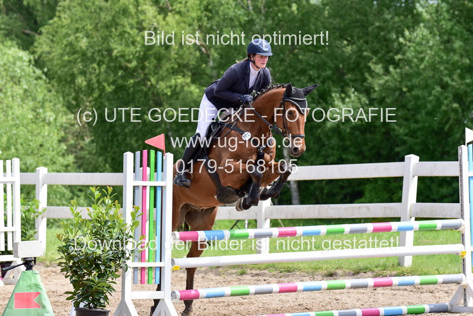 260520---Springpferde-A--_105.jpg