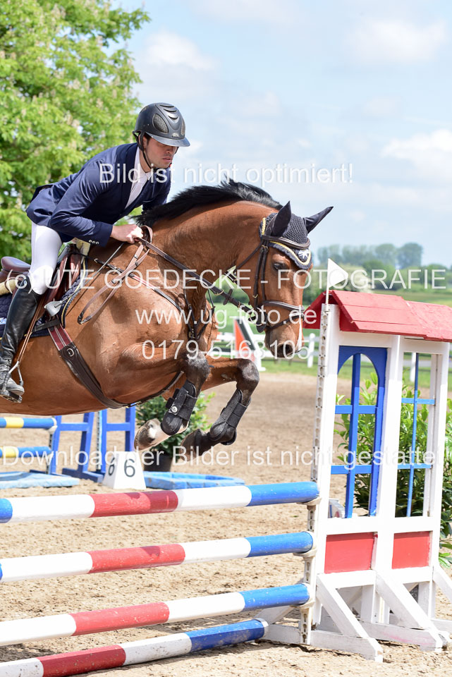 260520---Springpferde-A--_106.jpg