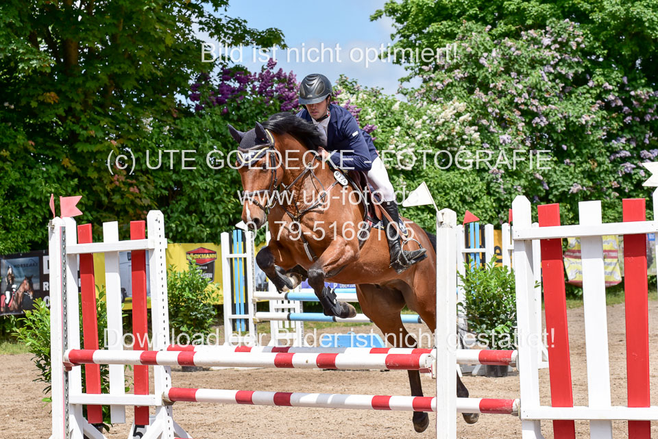 260520---Springpferde-A--_107.jpg