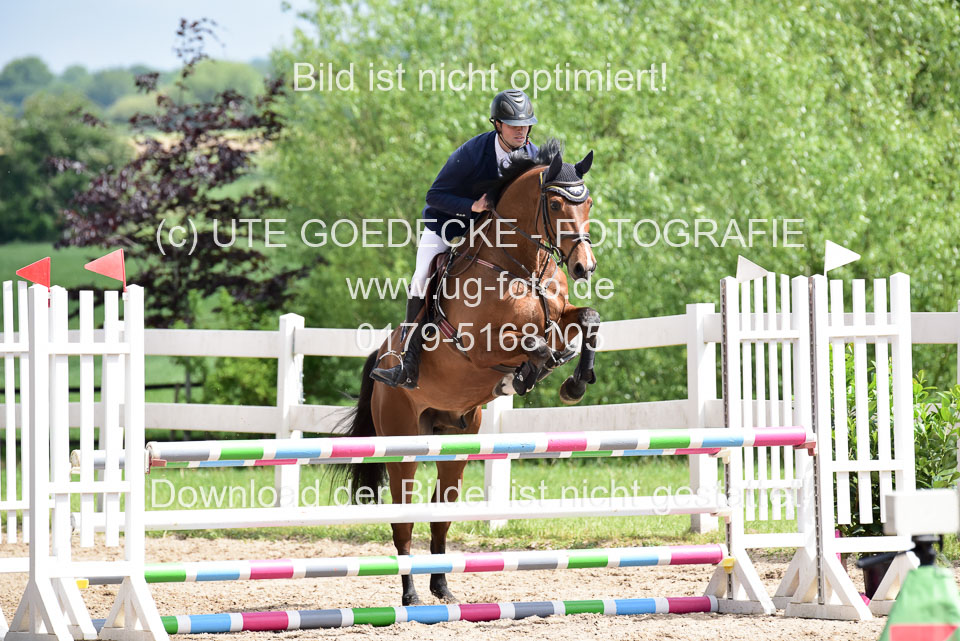 260520---Springpferde-A--_108.jpg