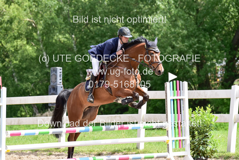 260520---Springpferde-A--_109.jpg
