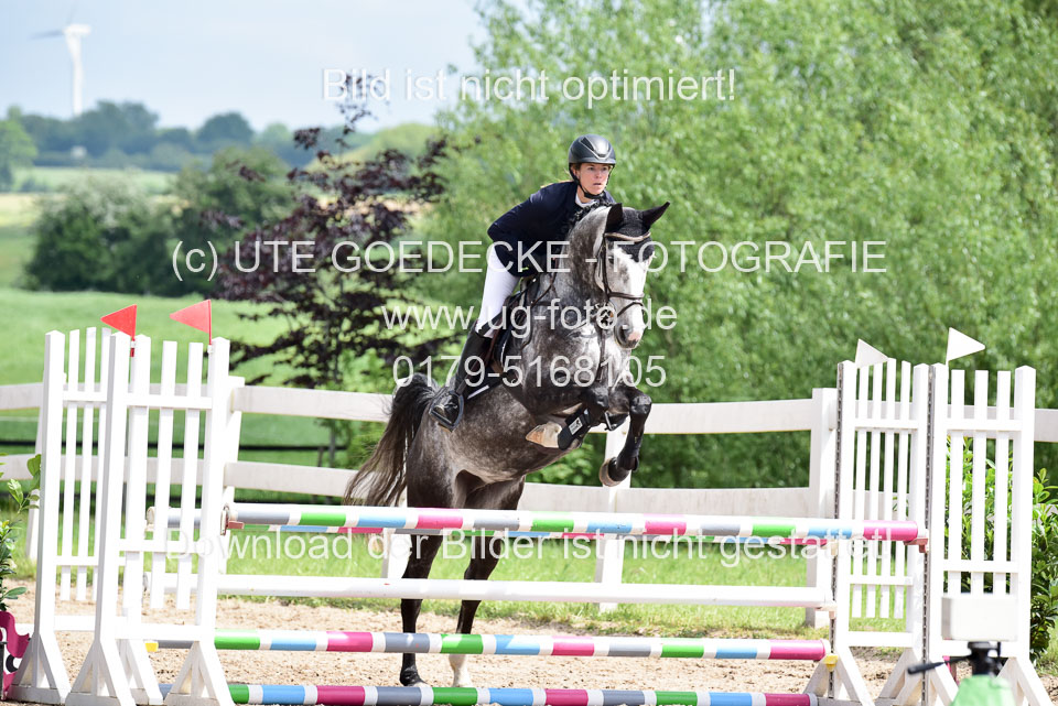260520---Springpferde-A--_111.jpg