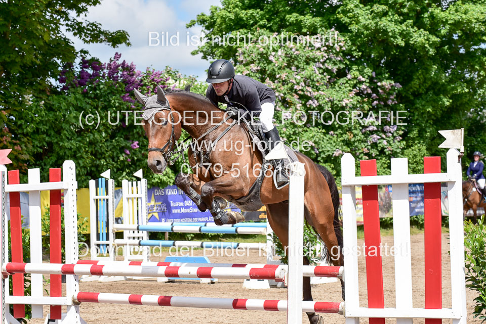 260520---Springpferde-A--_113.jpg