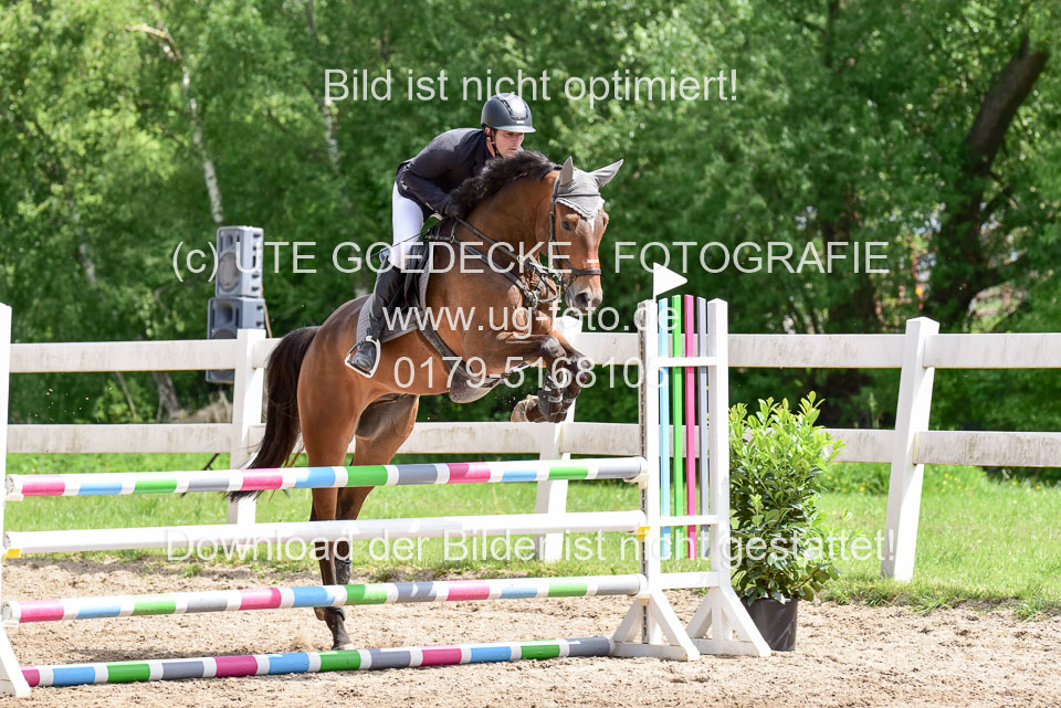 260520---Springpferde-A--_115.jpg