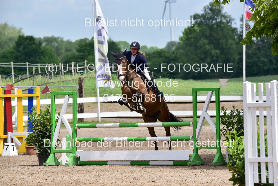 260520---Springpferde-A--_116.jpg