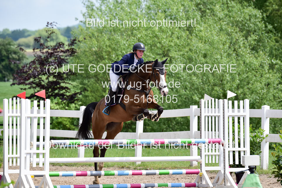 260520---Springpferde-A--_118.jpg