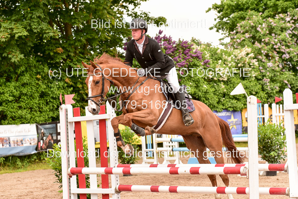 260520---Springpferde-A--_120.jpg