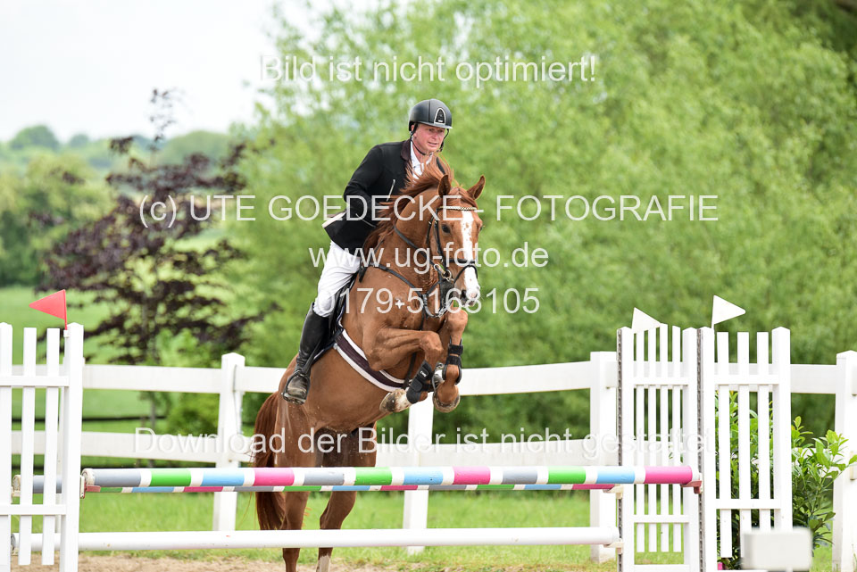 260520---Springpferde-A--_121.jpg