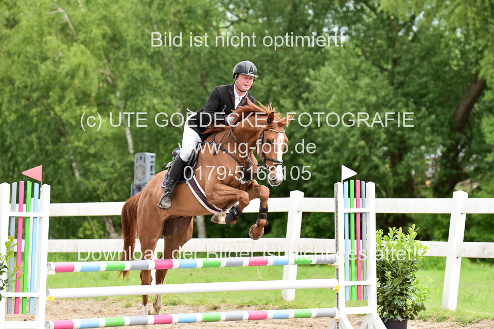 260520---Springpferde-A--_122.jpg