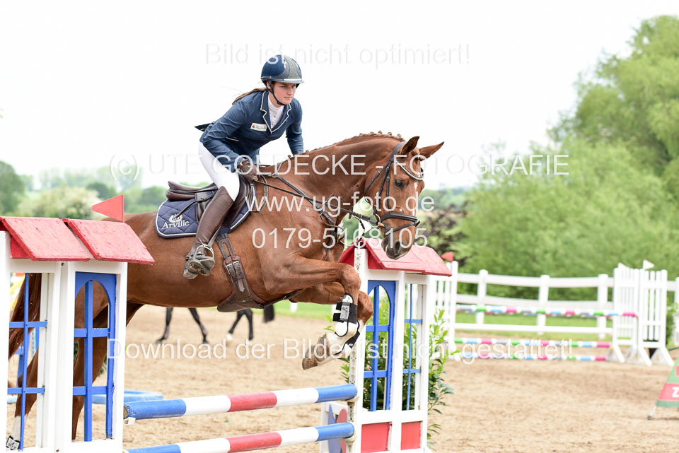 260520---Springpferde-A--_123.jpg