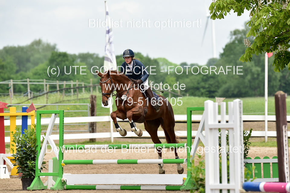 260520---Springpferde-A--_124.jpg