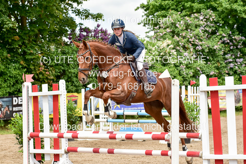 260520---Springpferde-A--_125.jpg