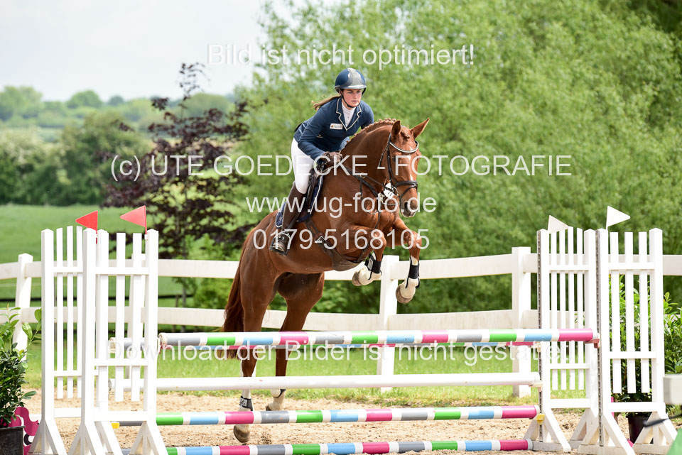 260520---Springpferde-A--_126.jpg