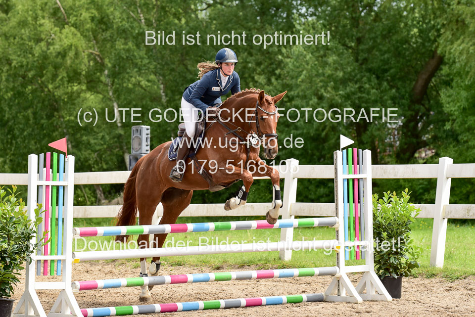 260520---Springpferde-A--_127.jpg