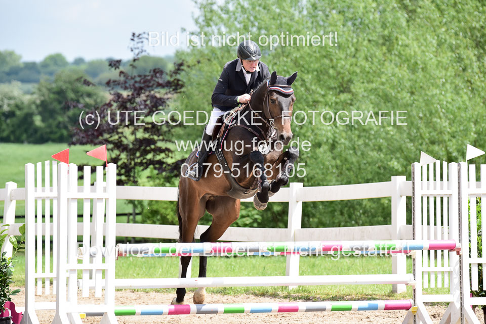 260520---Springpferde-A--_129.jpg