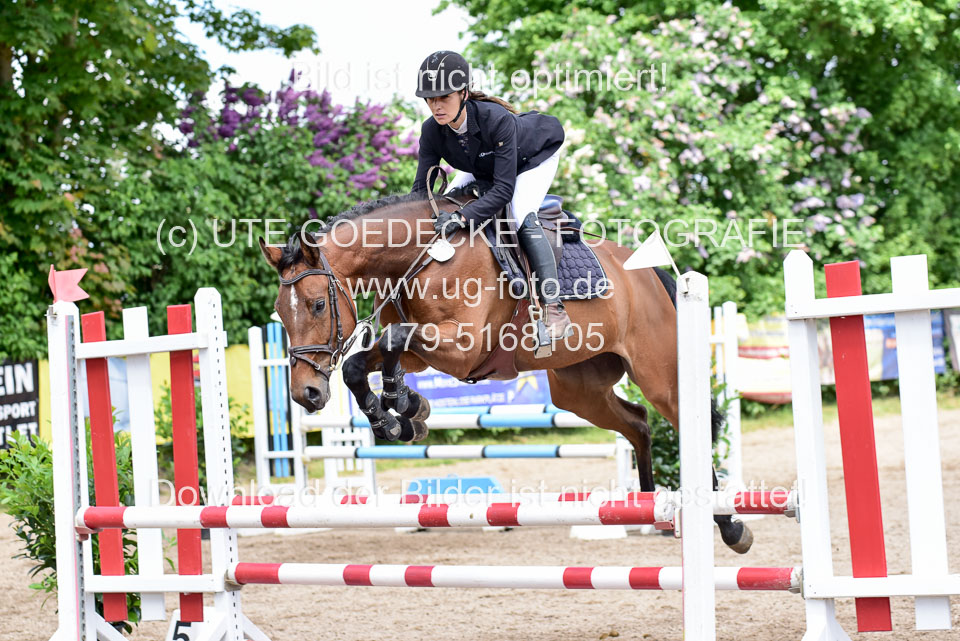 260520---Springpferde-A--_130.jpg