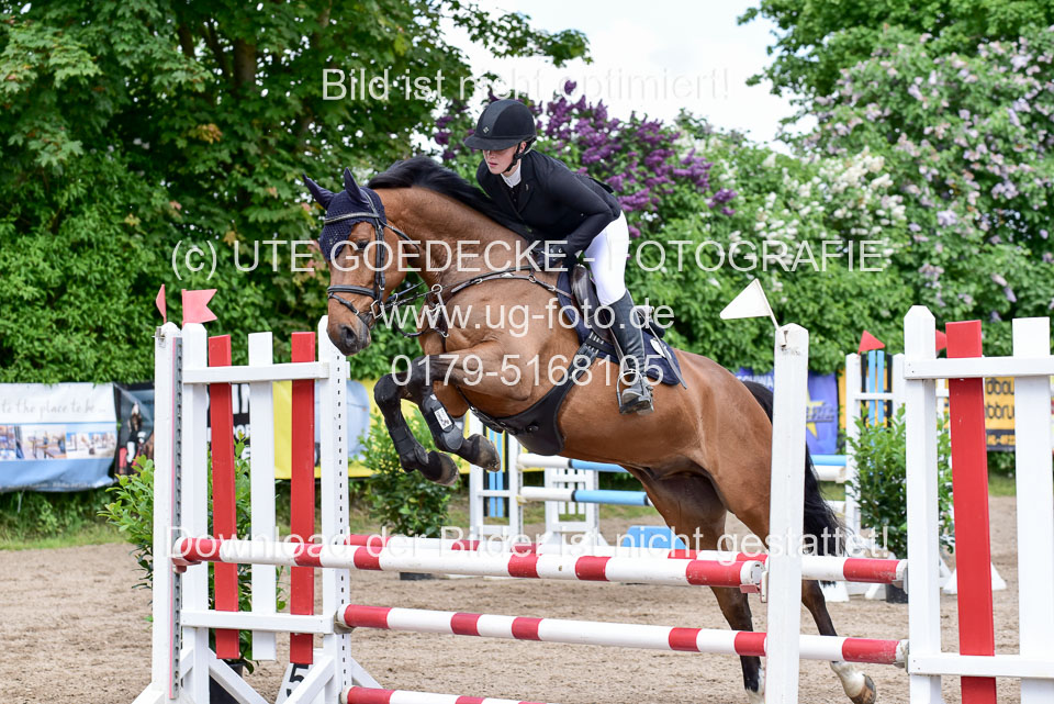 260520---Springpferde-A--_132.jpg
