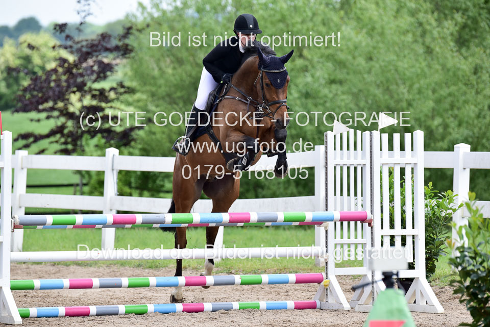 260520---Springpferde-A--_133.jpg