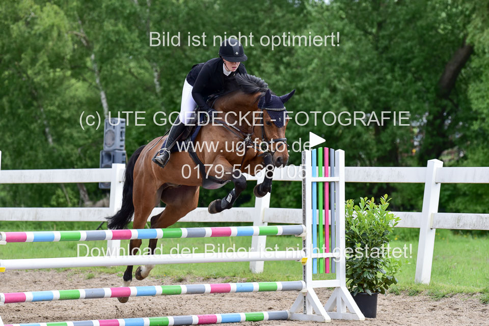 260520---Springpferde-A--_134.jpg