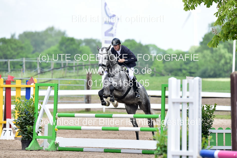 260520---Springpferde-A--_135.jpg