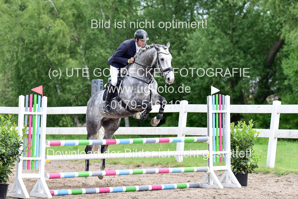 260520---Springpferde-A--_138.jpg