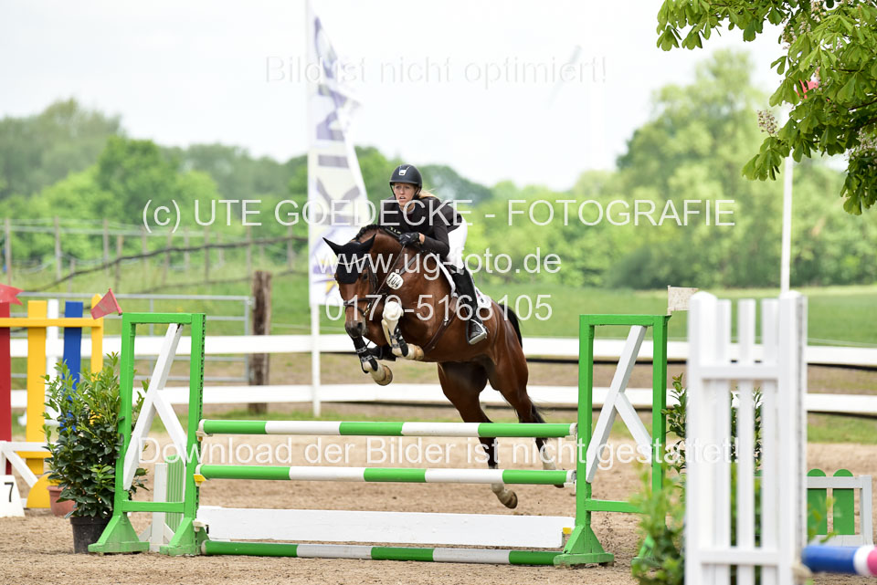260520---Springpferde-A--_139.jpg