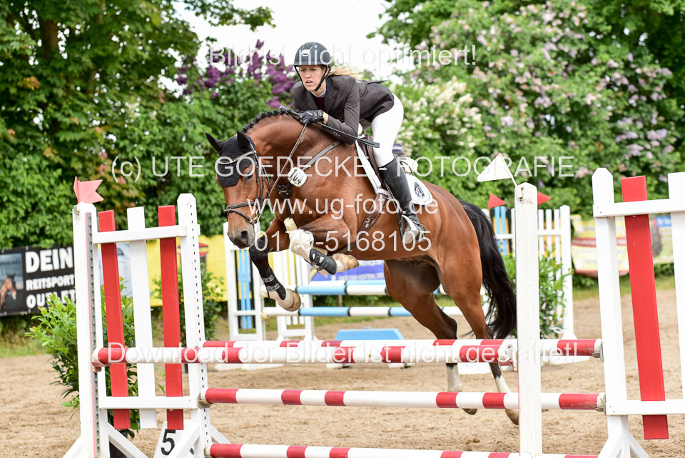 260520---Springpferde-A--_140.jpg