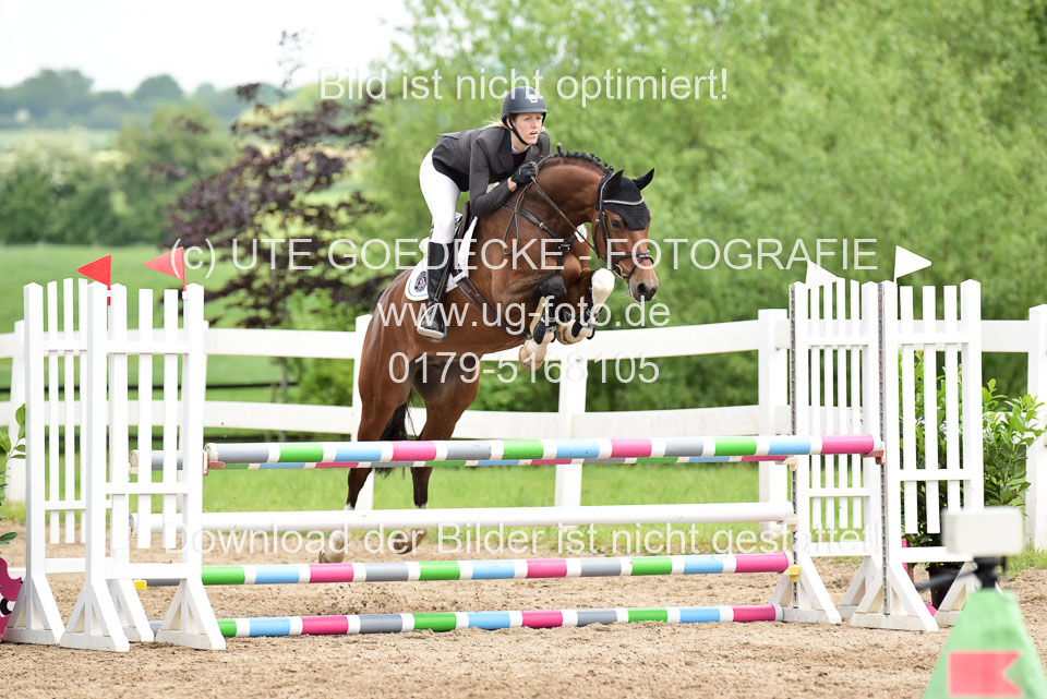 260520---Springpferde-A--_141.jpg