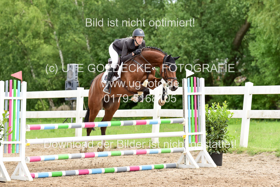 260520---Springpferde-A--_142.jpg