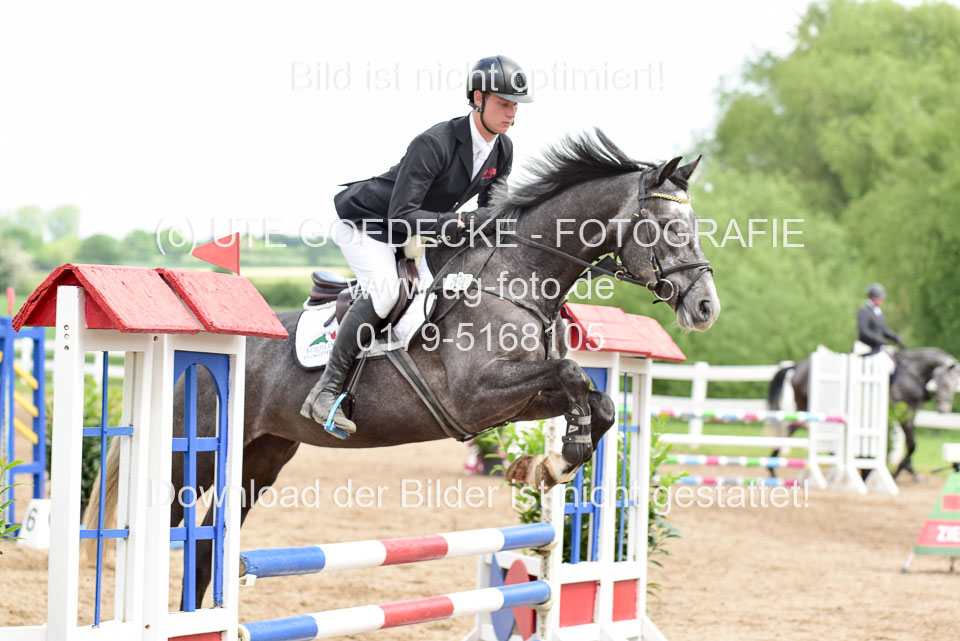 260520---Springpferde-A--_143.jpg