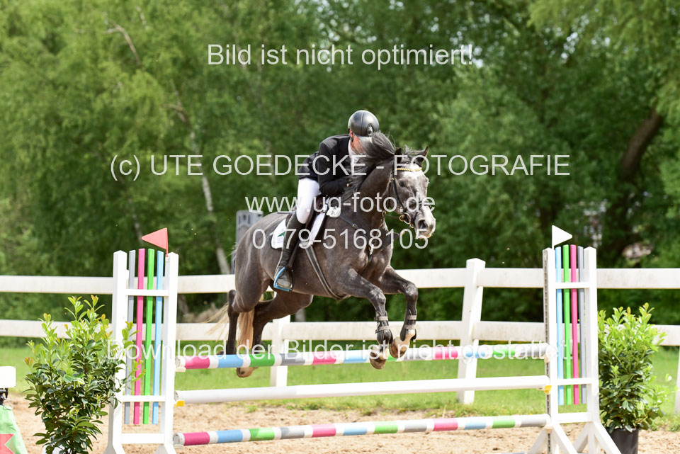 260520---Springpferde-A--_146.jpg
