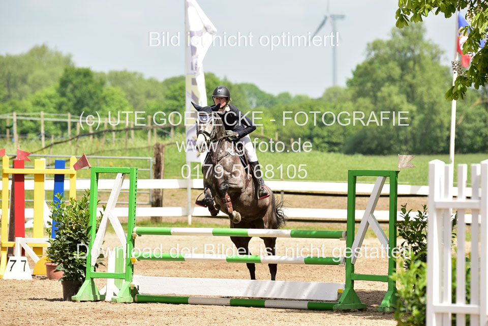 260520---Springpferde-A--_148.jpg