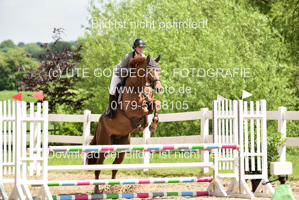 260520---Springpferde-A--_154.jpg