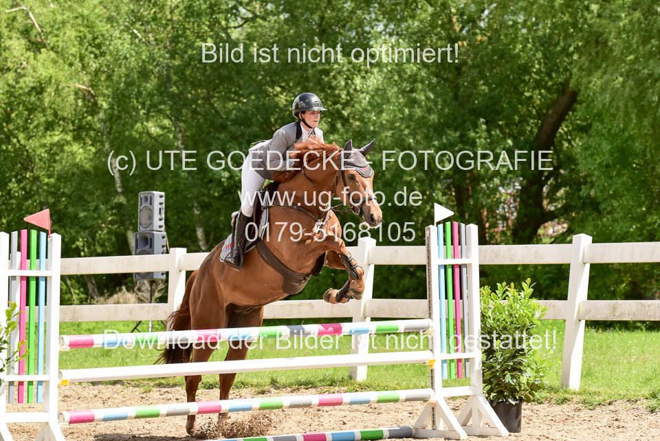 260520---Springpferde-A--_155.jpg