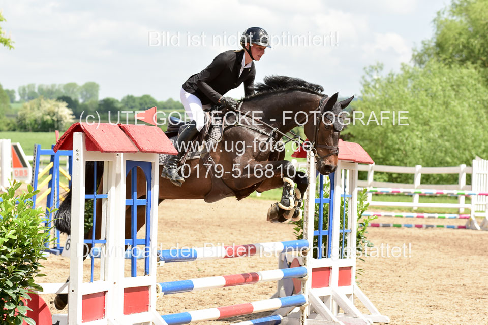 260520---Springpferde-A--_156.jpg