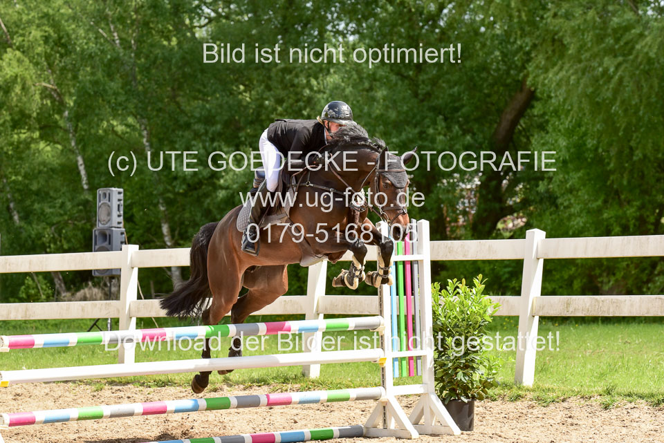 260520---Springpferde-A--_159.jpg