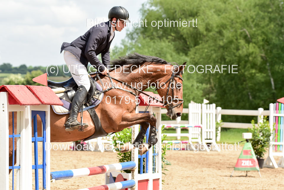 260520---Springpferde-A--_160.jpg
