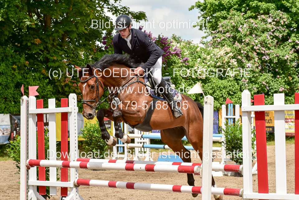 260520---Springpferde-A--_161.jpg