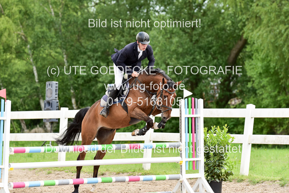 260520---Springpferde-A--_162.jpg
