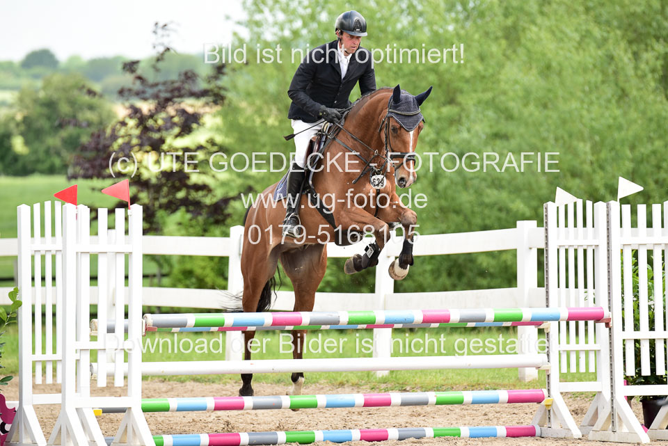 260520---Springpferde-A--_163.jpg