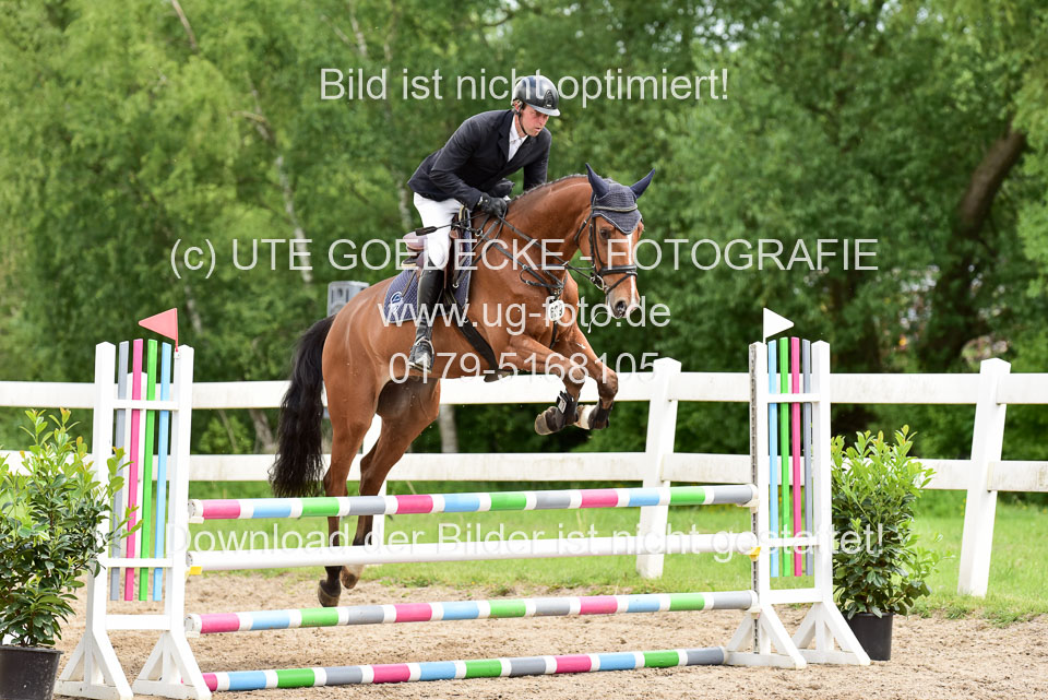 260520---Springpferde-A--_164.jpg