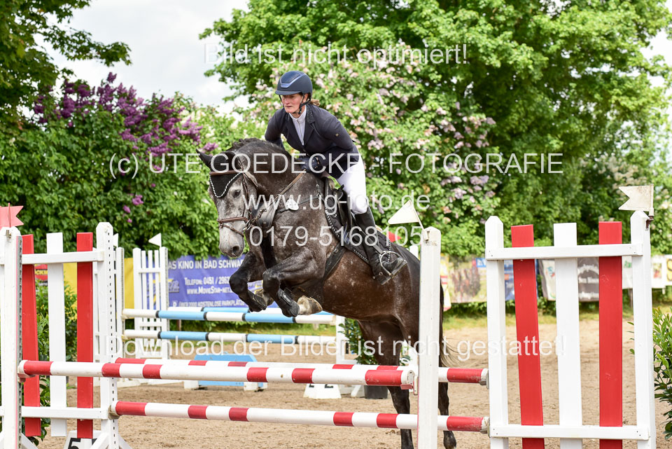 260520---Springpferde-A--_166.jpg